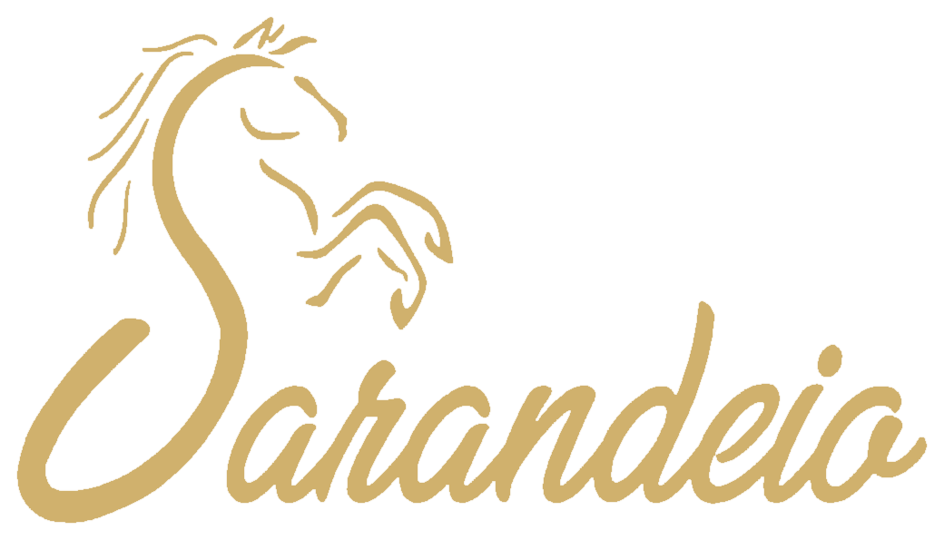 Loja Sarandeio — tradição gaúcha para toda família.